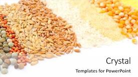  Presentation with cereal - PPT layouts featuring flour mill - colorful cereal seeds background background and a white colored foreground
