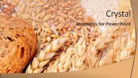  Presentation with cereal - Cool new presentation theme with flour mill - colorful cereal seeds background backdrop and a coral colored foreground