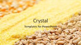  Presentation with cereal - Slides having flour mill - colorful cereal seeds background background and a blonde colored foreground