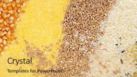  Presentation with cereal - PPT theme enhanced with flour mill - colorful cereal seeds background background and a yellow colored foreground