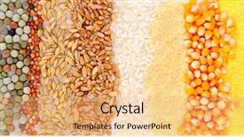  Presentation with cereal - Colorful slides enhanced with flour mill - colorful cereal seeds backdrop and a yellow colored foreground