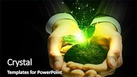  Presentation with sprout - Colorful PPT theme enhanced with flourish - green sprout in human hands backdrop and a black colored foreground