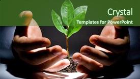  Presentation with black hands - Audience pleasing PPT theme consisting of flourish - photo of green plant backdrop and a forest green colored foreground