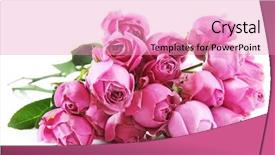  Presentation with roses - Beautiful PPT theme featuring flourish wedding - bouquet of fresh roses isolated backdrop and a  colored foreground
