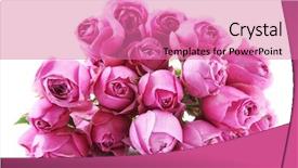  Presentation with roses - Audience pleasing PPT theme consisting of flourish wedding - bouquet of fresh roses isolated backdrop and a  colored foreground