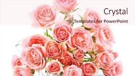  Presentation with wedding roses - Slides enhanced with flourish wedding - bouquet of fresh roses isolated background and a  colored foreground