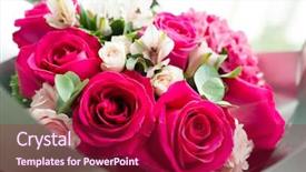  Presentation with war roses tudor rose - PPT theme with flourish wedding - bouquet of roses background and a crimson colored foreground