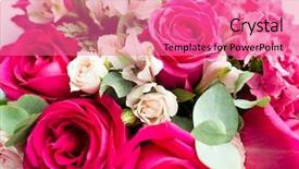  Presentation with roses - PPT layouts having flourish wedding - bunch of roses background and a coral colored foreground