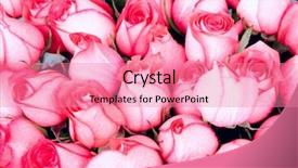  Presentation with beauty - Amazing PPT theme having flourish wedding - concept beauty background backdrop and a  colored foreground