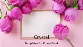  Presentation with wedding roses - Presentation design featuring flourish wedding - fresh roses and photo frame background and a lemonade colored foreground