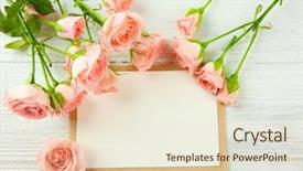 Presentation with wedding roses - Audience pleasing presentation theme consisting of flourish wedding - fresh roses and photo frame backdrop and a  colored foreground