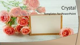  Presentation with wedding roses - Cool new presentation theme with flourish wedding - fresh roses and photo frame backdrop and a  colored foreground