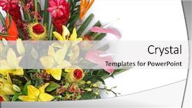  Presentation with greeting card - PPT theme with flourish wedding - white greeting card with colorful background and a white colored foreground