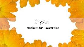  Presentation with iris flower yellow - Amazing PPT layouts having flourish wedding - yellow frame flower backdrop and a  colored foreground