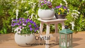  Presentation with summer flowers - Amazing slides having flourishes - beautiful pansy summer flowers backdrop and a coral colored foreground