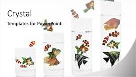  Presentation with ideas formula - Presentation theme consisting of flow chart circle - ideas fish jumping background and a  colored foreground