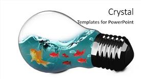  Presentation with light bulb - Presentation with flow theme - 3d empty light bulb background and a  colored foreground