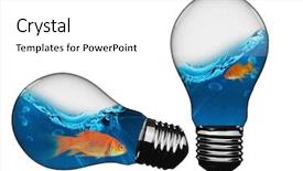  Presentation with light bulb - Audience pleasing presentation consisting of flow theme - 3d empty light bulb backdrop and a  colored foreground