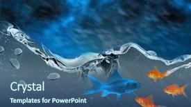  Presentation with blue flow - Beautiful slide set featuring flow theme - orange goldfish against aurora night backdrop and a  colored foreground