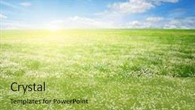  Presentation with sky sun - PPT theme featuring flower - field of daisies blue sky background and a yellow colored foreground