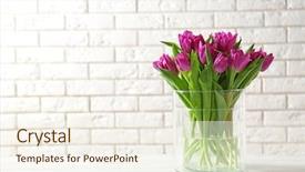  Presentation with brick wall - Audience pleasing slides consisting of flower - glass vase with bouquet backdrop and a cream colored foreground