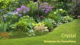  Presentation with colorful flower - Presentation design with flower - lush landscaped garden with flowerbed background and a tawny brown colored foreground