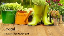  Presentation with wood tools - Colorful theme enhanced with flower - outdoor gardening tools on old backdrop and a yellow colored foreground