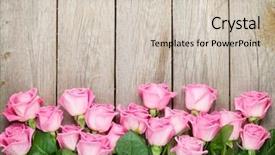  Presentation with valentines day - Theme with flower - valentines day background with pink background and a soft green colored foreground