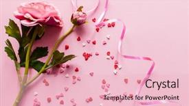  Presentation with valentine - Slides consisting of pink flower - valentine's day background and a  colored foreground
