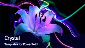  Presentation with 80s era neon lights sign - Presentation consisting of flower a lily night neon background and a navy blue colored foreground