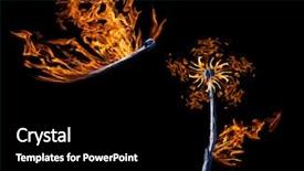  Presentation with flat earth on black - Slide deck with flower and butterfly shapes flame background and a  colored foreground