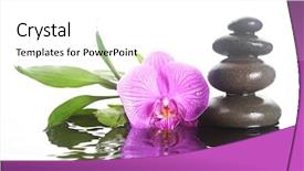  Presentation with stones - Cool new PPT layouts with flower and stones in rippling backdrop and a  colored foreground