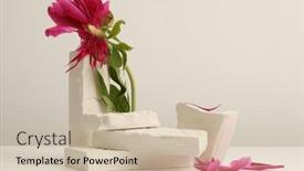  Presentation with minimal - Presentation design consisting of flower-and-stones-platform-podium background and a soft green colored foreground