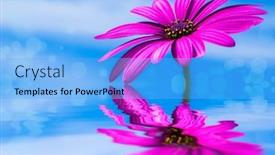 Presentation with water treatment - Theme featuring flower-and-water-for-beauty background and a light blue colored foreground