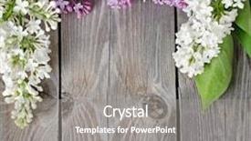  Presentation with lilac flower - Presentation enhanced with flower arrangement - beautiful lilac on a wooden background and a gray colored foreground
