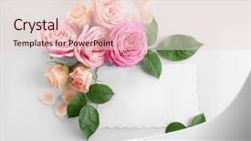  Presentation with floral - Theme consisting of flower arrangement - floral composition with paper card background and a lemonade colored foreground