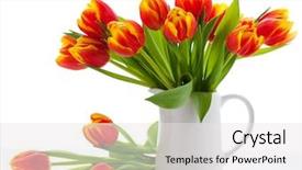  Presentation with tulips - Theme featuring flower arrangement - red tulips in a jug background and a white colored foreground