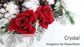  Presentation with flower - Slide deck having flower arrangement background and a sky blue colored foreground