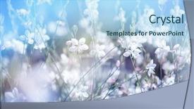  Presentation with green glitter - PPT theme with flower background beautiful flowers made background and a light blue colored foreground