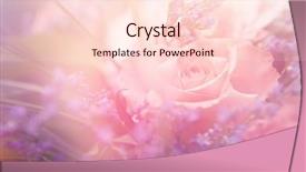  Presentation with beautiful floral border flower design - Slides enhanced with flower background beautiful flowers made background and a  colored foreground