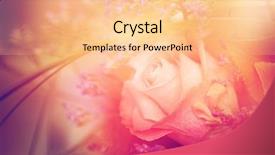  Presentation with flower border colorful made - Theme with flower background beautiful flowers made background and a  colored foreground