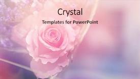  Presentation with flower - Slides having flower background beautiful flowers made background and a  colored foreground