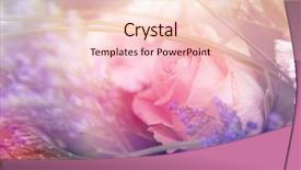  Presentation with flower border colorful made - Theme with flower background beautiful flowers made background and a lemonade colored foreground