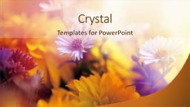  Presentation with flower border colorful made - Audience pleasing presentation theme consisting of pink abstractflower - flower background beautiful flowers made backdrop and a lemonade colored foreground