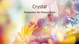  Presentation with flower beautiful lilac border - Presentation theme having flower background beautiful flowers made background and a  colored foreground