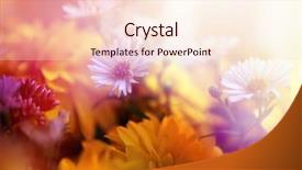  Presentation with flower border colorful made - Presentation theme featuring flower background beautiful flowers made background and a  colored foreground