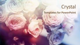  Presentation with flower - Amazing theme having flower background beautiful flowers made backdrop and a  colored foreground