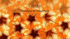  Presentation with colourful flower - 