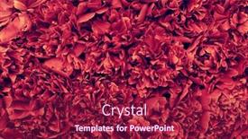  Presentation with peony flower - PPT layouts with flower-background-with-red-peony background and a violet colored foreground