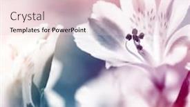  Presentation with flower - Theme enhanced with flower-background background and a lemonade colored foreground